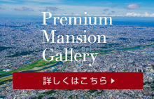 mizonokuchi_premium