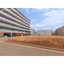 横浜市都筑区桜並木　