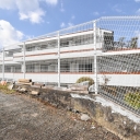 アデニウム玉川学園