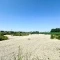 【千葉県/松戸市串崎新田】松戸市串崎新田／土地 現地