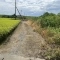 【茨城県/猿島郡境町大字塚崎】猿島郡境町大字塚崎　土地 前面道路