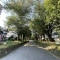 【埼玉県/さいたま市大宮区堀の内町】さいたま市大宮区堀の内町2丁目 売地 氷川参道　