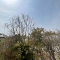 【大阪府/吹田市円山町】大阪府吹田市円山町　土地 眺望