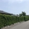 【静岡県/三島市若松町】三島市若松町　古家付土地 現地（古家あり）