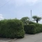 【静岡県/三島市若松町】三島市若松町　古家付土地 現地（古家あり）
