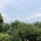 【静岡県/三島市若松町】三島市若松町　古家付土地 眺望