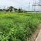 【大阪府/泉北郡忠岡町忠岡東】大阪府泉北郡忠岡町忠岡東2丁目 土地 現地