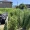 【埼玉県/さいたま市浦和区前地】さいたま市浦和区前地1丁目　土地 現地