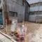 【東京都/板橋区小豆沢】板橋区小豆沢3丁目売地 現地：対象地：左側（古家隣接地）