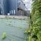 【東京都/狛江市岩戸南】東京都狛江市岩戸南二丁目土地 現地