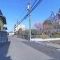 【神奈川県/相模原市南区古淵】相模原市南区古淵一丁目1号地 前面道路