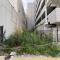 【東京都/墨田区石原】墨田区石原4丁目　土地 現地