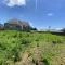 【東京都/大田区南馬込】大田区南馬込5丁目 土地 現地