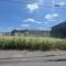 【埼玉県/さいたま市西区西大宮】さいたま市西区西大宮2丁目 土地 現地（２０２６年７月撮影）