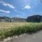 【埼玉県/さいたま市西区西大宮】さいたま市西区西大宮2丁目 土地 現地（２０２６年７月撮影）