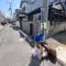 【千葉県/市川市八幡】市川市八幡1丁目 土地 近隣ごみ置き場