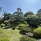 【静岡県/伊東市弥生町】静岡県伊東市弥生町 庭