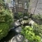 【静岡県/伊東市弥生町】静岡県伊東市弥生町 庭