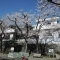 【神奈川県/横浜市南区永田北】横浜市南区永田北2丁目　戸建 外観