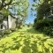 【神奈川県/逗子市小坪】逗子市小坪6丁目　中古戸建 庭