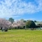 【東京都/西東京市新町】西東京市新町4丁目新築戸建　2号棟 都立小金井公園