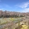 【東京都/西東京市新町】西東京市新町4丁目新築戸建　8号棟 おおぞら公園
