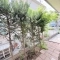 【東京都/練馬区関町南】練馬区関町南4丁目　中古戸建 庭