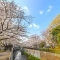 【東京都/世田谷区祖師谷】祖師谷4丁目新築戸建A号棟 祖師谷公園