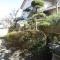 【大阪府/吹田市千里山西】吹田市千里山西5丁目　中古戸建 庭