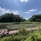 【神奈川県/横浜市青葉区もえぎ野】青葉区もえぎ野　中古戸建 もえぎ野公園