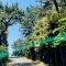【神奈川県/茅ヶ崎市柳島海岸】茅ヶ崎市柳島海岸　戸建 国道134号線への道のり