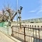 【東京都/立川市富士見町】立川市富士見町4丁目　新築戸建　1号棟 立川市立第四小学校