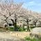 【埼玉県/さいたま市緑区松木】さいたま市緑区松木3丁目　中古戸建 見沼氷川公園