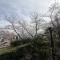 【兵庫県/宝塚市雲雀丘】宝塚市雲雀丘二丁目　中古戸建 眺望