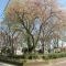 【神奈川県/横浜市青葉区しらとり台】青葉区しらとり台　中古戸建 しらとり台第二公園
