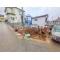 【千葉県/松戸市六高台西】松戸市六高台西 新築一戸建て 
