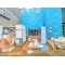【東京都/板橋区蓮沼町】板橋区蓮沼町 新築一戸建て 外観