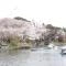 【東京都/大田区北千束】大田区南千束1丁目 洗足池公園