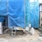 【東京都/江戸川区江戸川】江戸川1丁目　新築分譲住宅　4号棟 建築中の外観