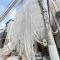 【東京都/江東区大島】江東区大島3丁目 新築戸建 建築中の外観