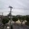【大阪府/大阪市東淀川区大道南】大阪府大阪市東淀川区大道南2丁目 一戸建て 住戸からの眺望です。前面は公園のため開放感があり、陽当り・通風良好です。緑を感じることもできます。