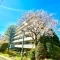 【千葉県/流山市加】東急ドエルステージ21 サウスコート壱番館 外観