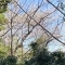 【神奈川県/横浜市神奈川区白楽】ライブタウン白楽 C棟 眺望