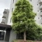 【神奈川県/横浜市神奈川区片倉】グレーシア横濱片倉 外観