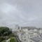 【東京都/渋谷区千駄ヶ谷】神宮外苑ハウス 眺望