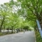 【神奈川県/横浜市西区花咲町】プラウド横浜桜木町 グランモール公園