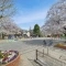 【神奈川県/川崎市中原区井田中ノ町】プラウド元住吉アベニュー 木月公園