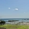【神奈川県/三浦郡葉山町一色】マイキャッスル葉山 眺望