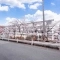 【神奈川県/鎌倉市寺分】ヴェレーナシティ鎌倉深沢 市立富士塚小学校