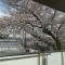 【東京都/練馬区平和台】プラウド平和台テラス 眺望